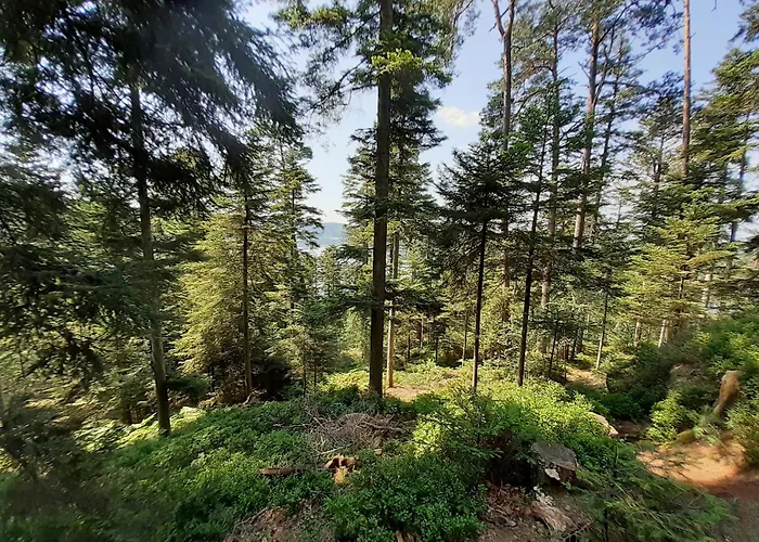 Holiday home Grande Maison Lorraine *